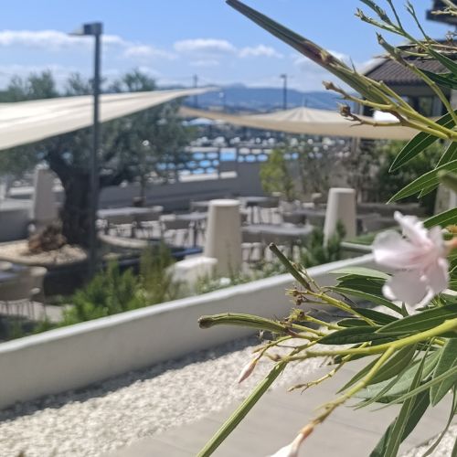 Progetto senza titolo (51)